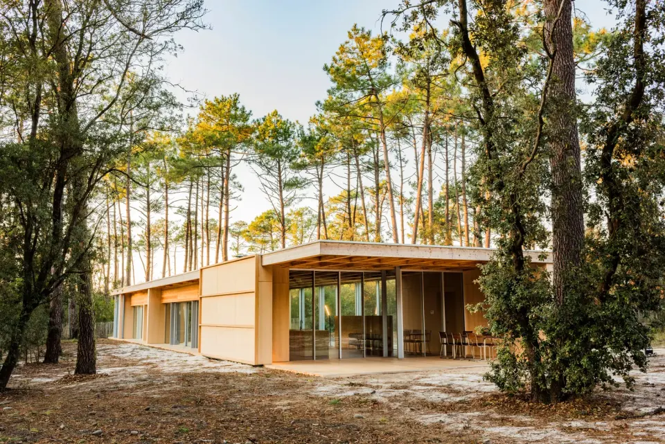 Villa Timber Design – Single-Storey Wooden House in a Forest